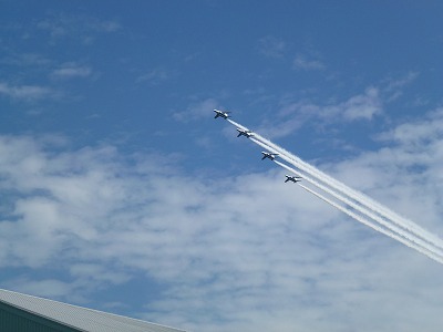 P1000569.jpg