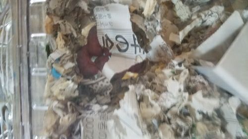 rblog-20170515142152-01.jpg