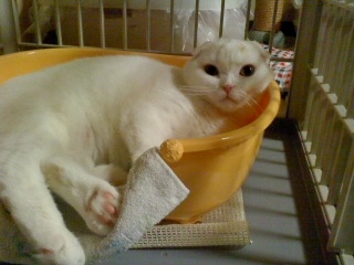 140117_0105~03.jpg
