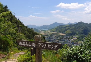 a5a61fb8a7c66cface76f2a4435b380f.jpg