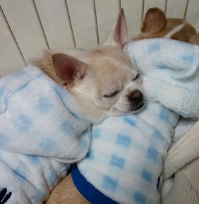 1451786513790.jpg