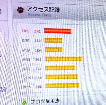 アクセス数