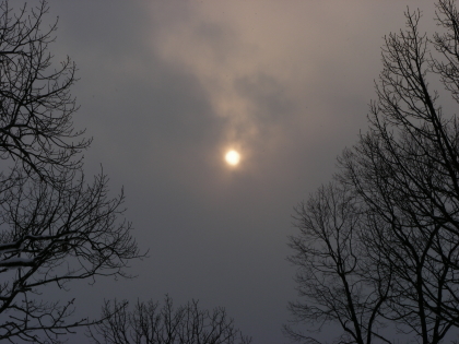 2016-02-09sun.JPG