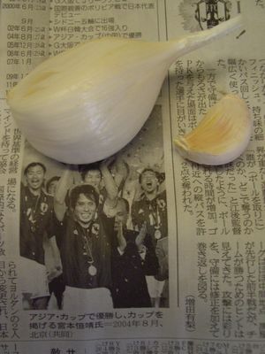 一片の比較.JPG