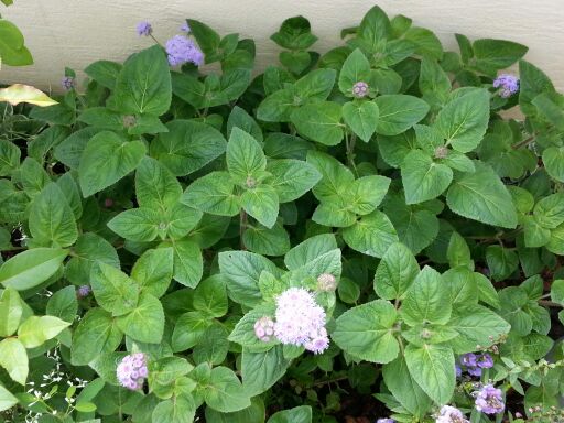 rblog-20140716134457-00.jpg
