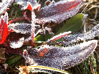 rblog-20140128200138-03.png