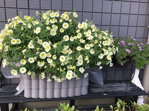 rblog-20180624181630-01.jpg
