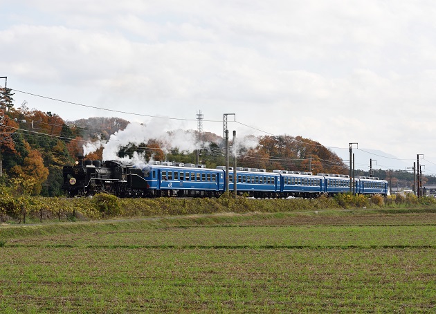 2014.11.30 3号　2　D810.jpg
