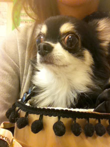 20121026みすずb.jpg