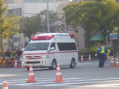 P1130985(1).JPG