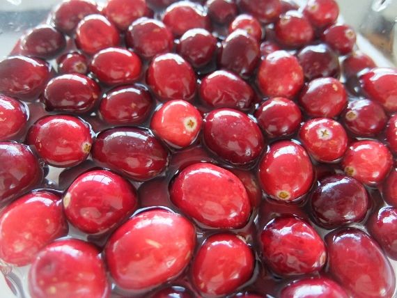 レーズン＆ベリーアップサイドダウンケーキ クランベリー 感謝祭　Holiday Dessert Sweet Cranberry Upside Down Cake