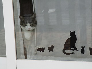 IMG_1501ss.jpg