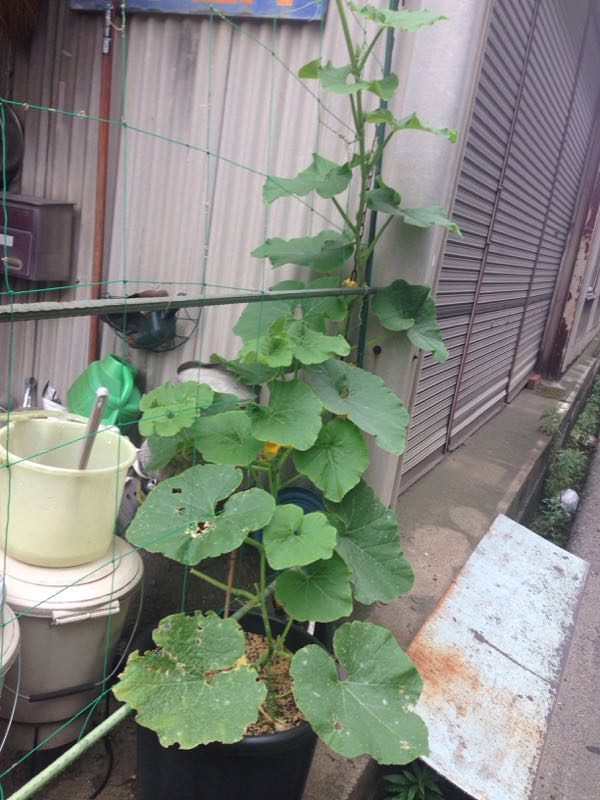 rblog-20160529201927-02.jpg