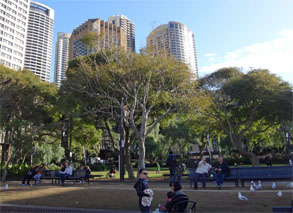 OZ1178.jpg