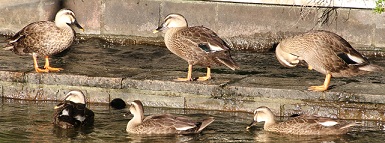 E7D_7145-2.jpg