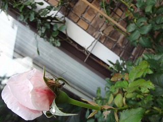 DSC01544.jpg