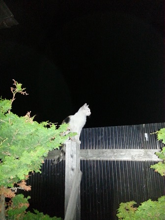 20130611_221214.jpg
