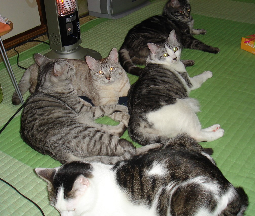 DSC00156.JPG