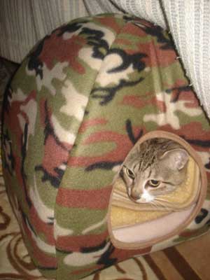にゃんずかまくら