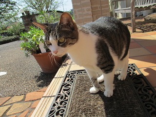 IMG_0035ss.jpg