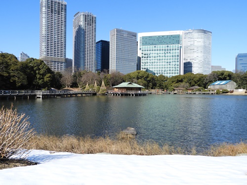 浜離宮恩賜庭園にて