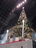 DSC_2056 - コピー.jpg