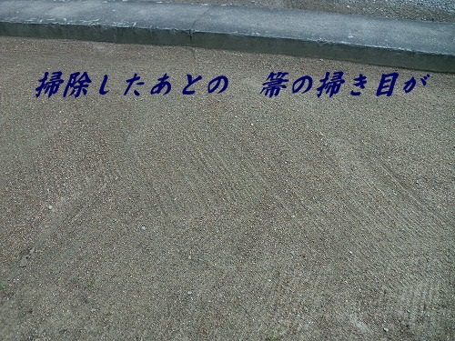 s-CIMG4652.jpg