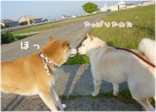 0423朝2.jpg