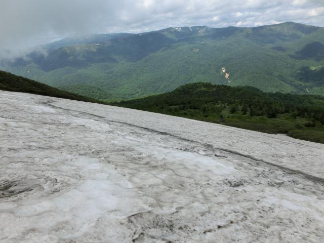 CIMG0684.jpg