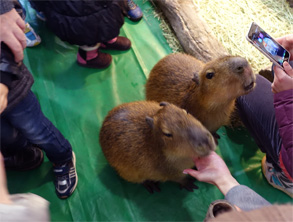 那須20.jpg