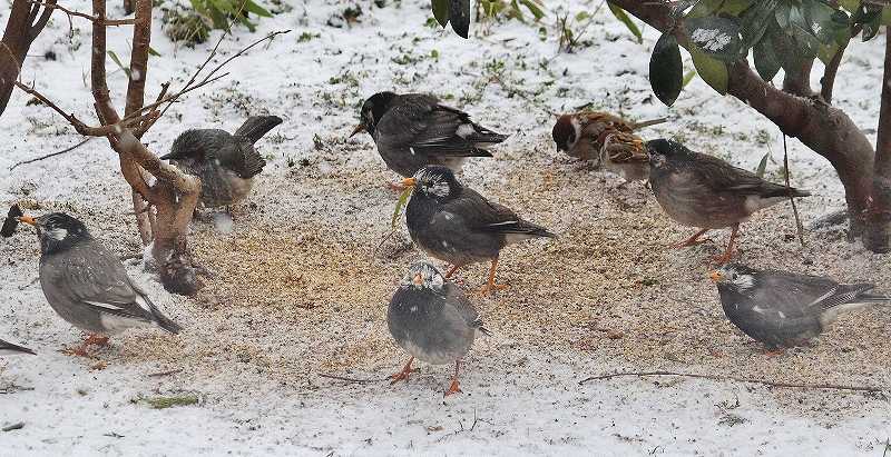 IMG_4761 (800x411).jpg