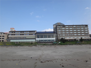 新潟310.jpg