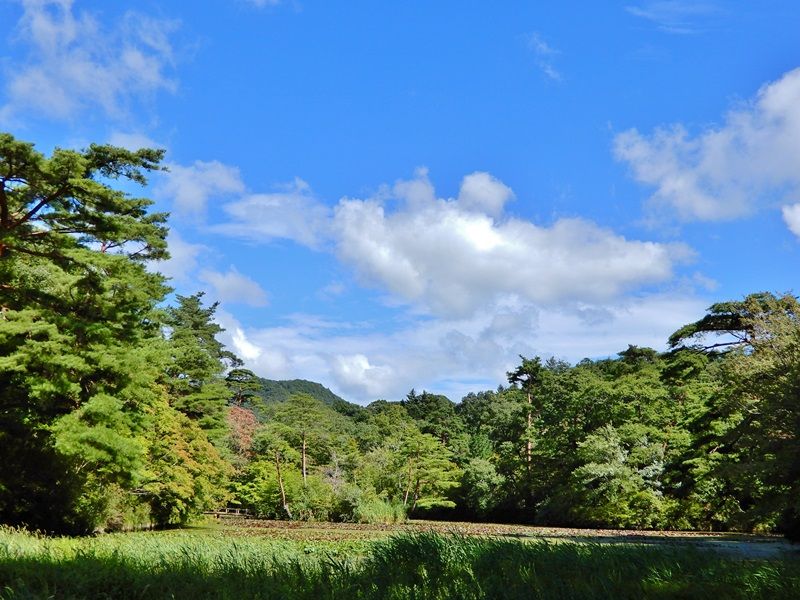 長谷池19
