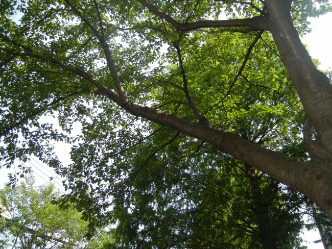 DSCN6018.JPG