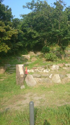 rblog-20140715172254-01.jpg