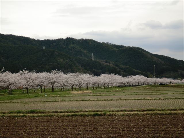 CIMG4538_R.JPG