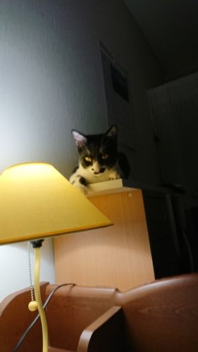 rblog-20180923234306-01.jpg