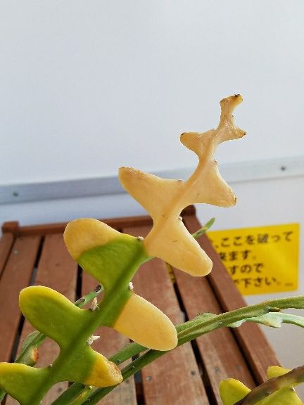 rblog-20180404111238-05.jpg