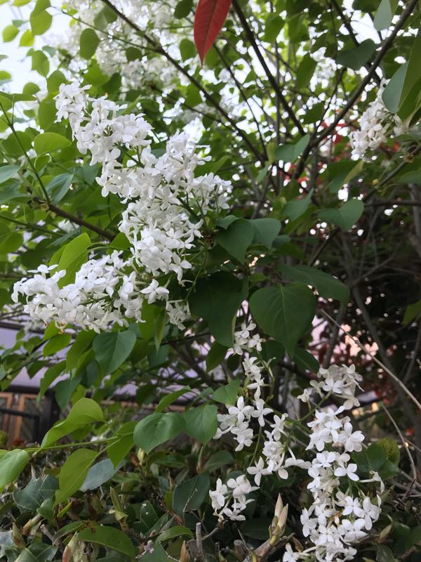 rblog-20180408180536-05.jpg