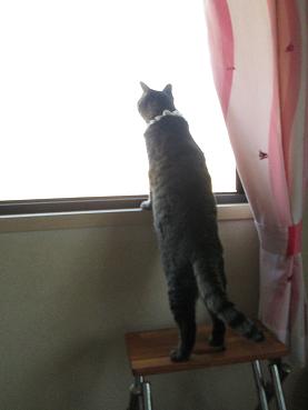 成長しました