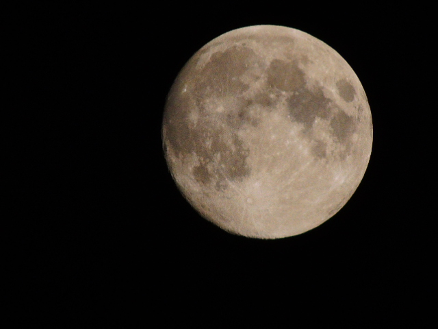 DSCN0624.JPG