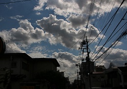 IMG_7530-7.jpg