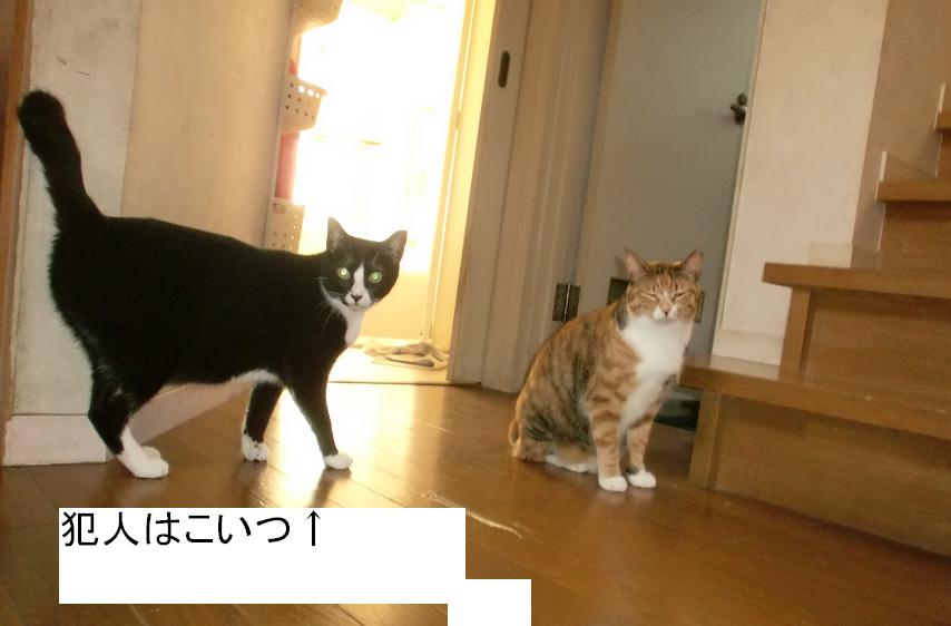 八立ち尽くす犯人.JPG