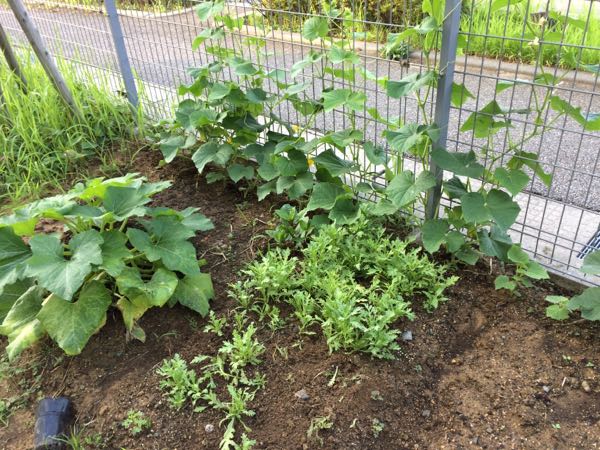 rblog-20150806064327-03.jpg