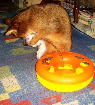 DSC08898.jpg