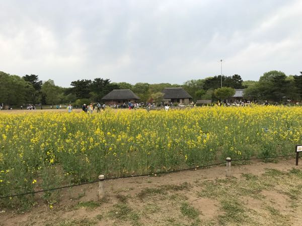 rblog-20170501131633-09.jpg
