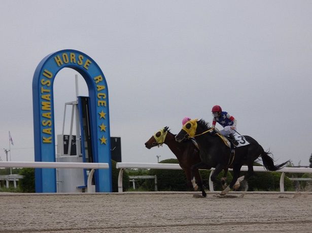 2017ヤングジョッキーズシリーズ トライアルラウンド笠松 | 地方競馬の