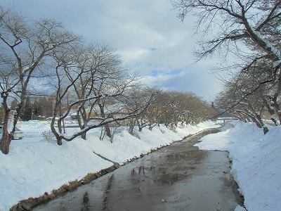WK 001.jpg