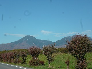P1260070ss.jpg