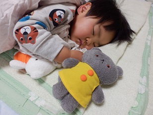 こぐまちゃんとお昼ね